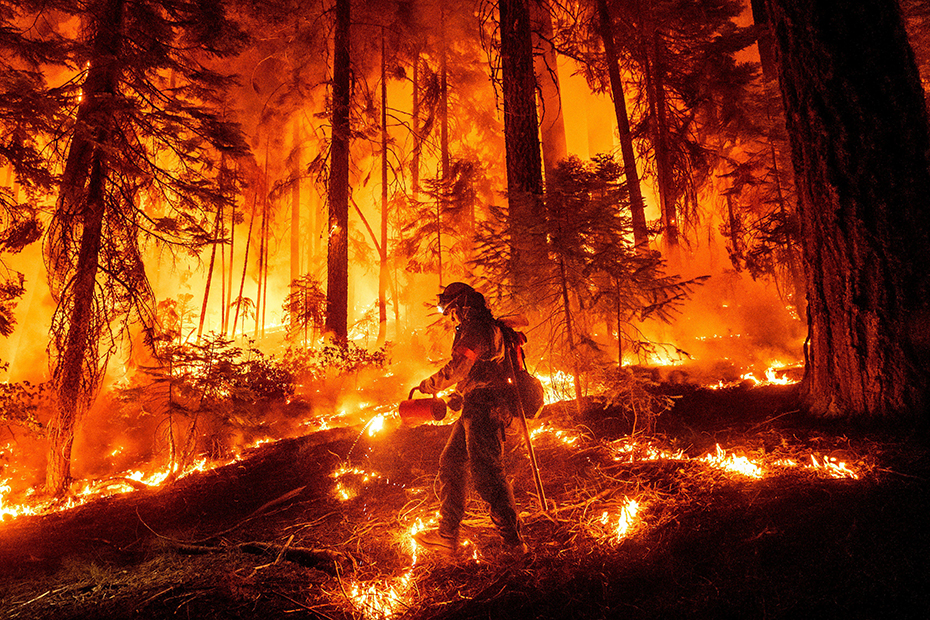 A firefighter uses a drip torch to burn vegetation while trying to stop the Park Fire from near Mill Creek in Tehama County, California.
